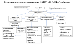 Организационная структура управления МБДОУ  "ДС № 442 г. Челябинска"